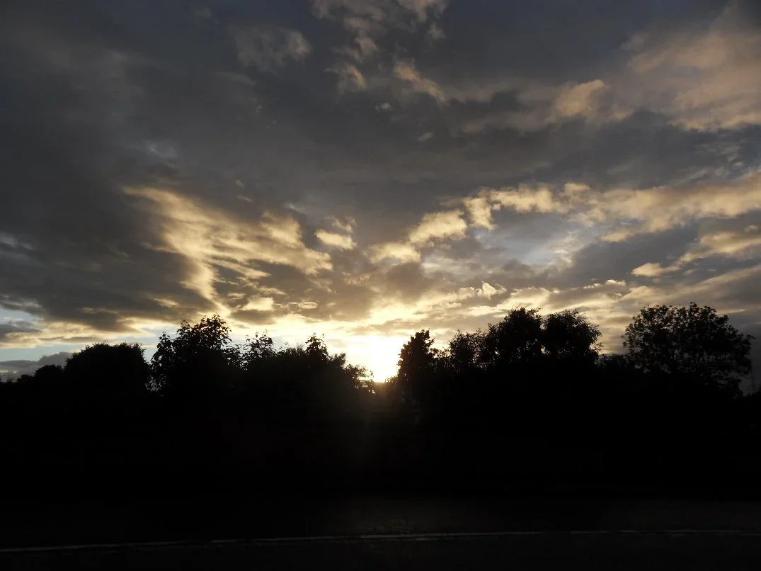 SDC12683_resize35percent.webp