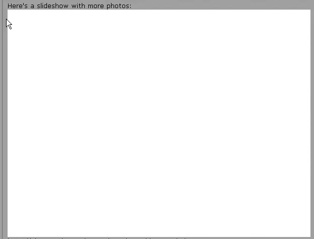 slideshow not working.webp