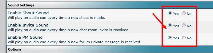 vbshout 6.0.3.webp