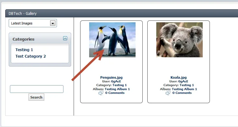 after selecting.webp