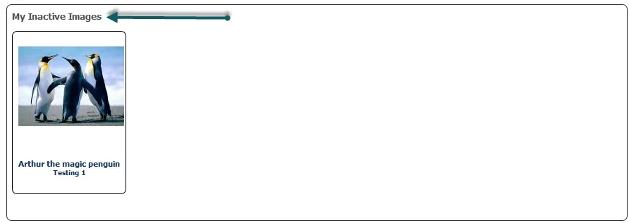 1.webp