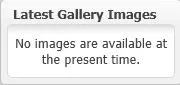 gallery_cms.webp