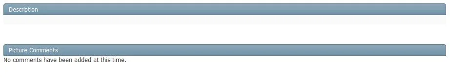 Hide Description and Picture comments.webp