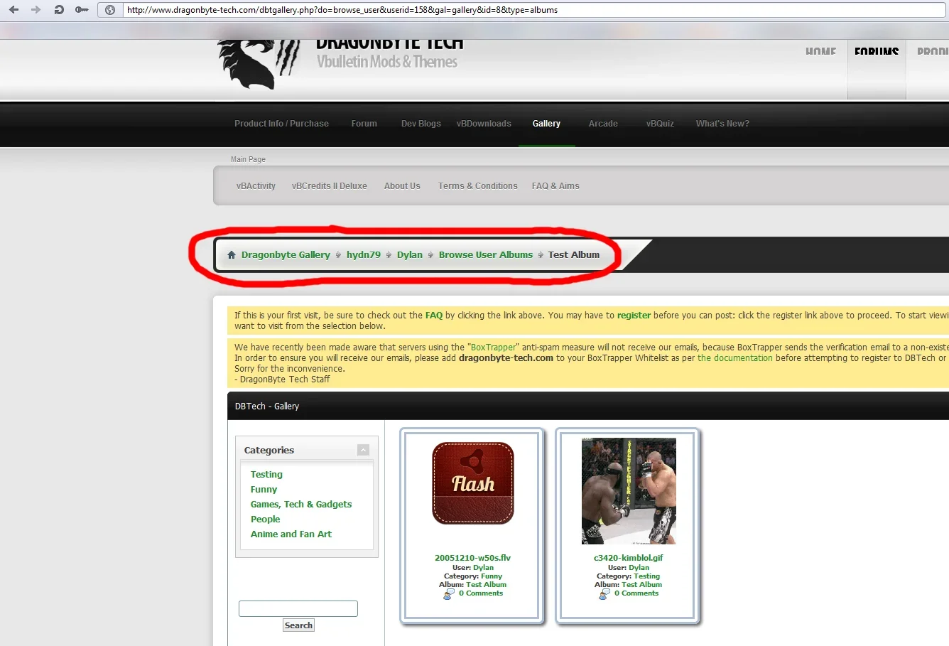 dbtgallery-bug1.webp
