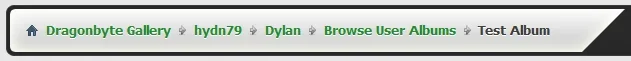 dbtgallery-bug2.webp