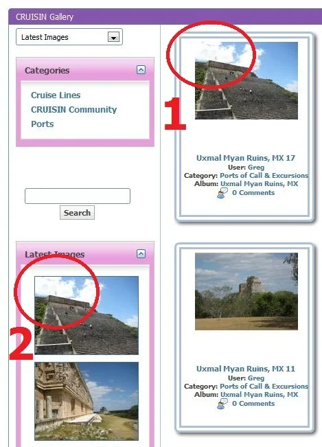 border.webp