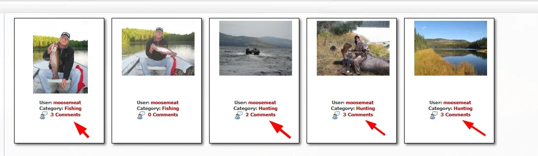 gallery comments.webp