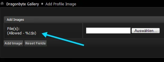 profil-image.webp