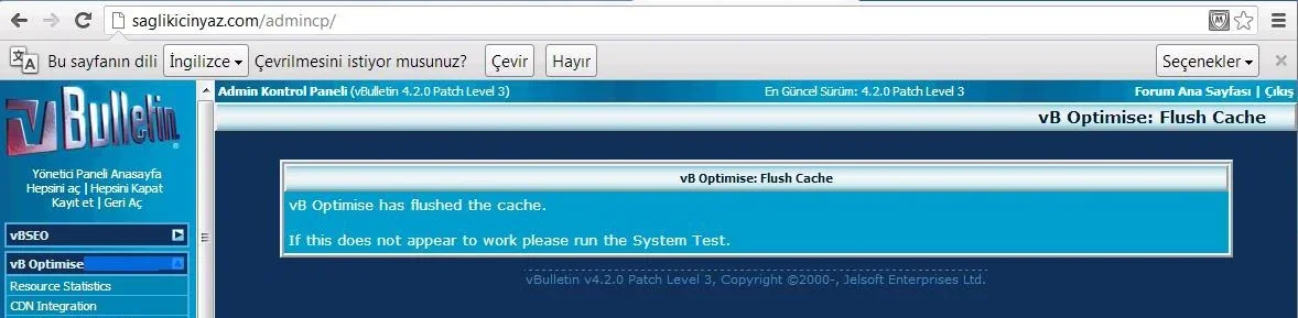 8109flush.webp