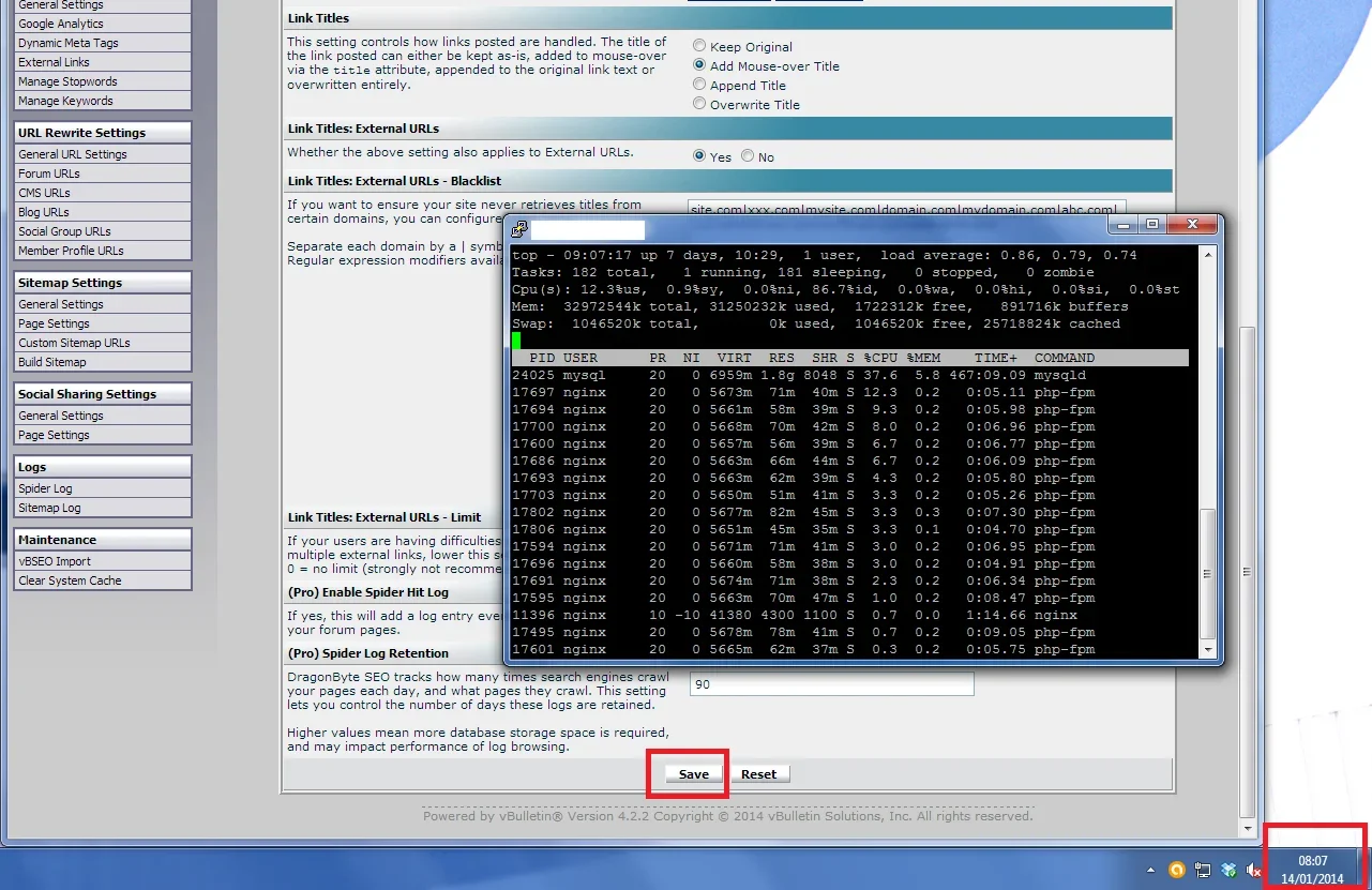 dbseo-possible-bug1.webp