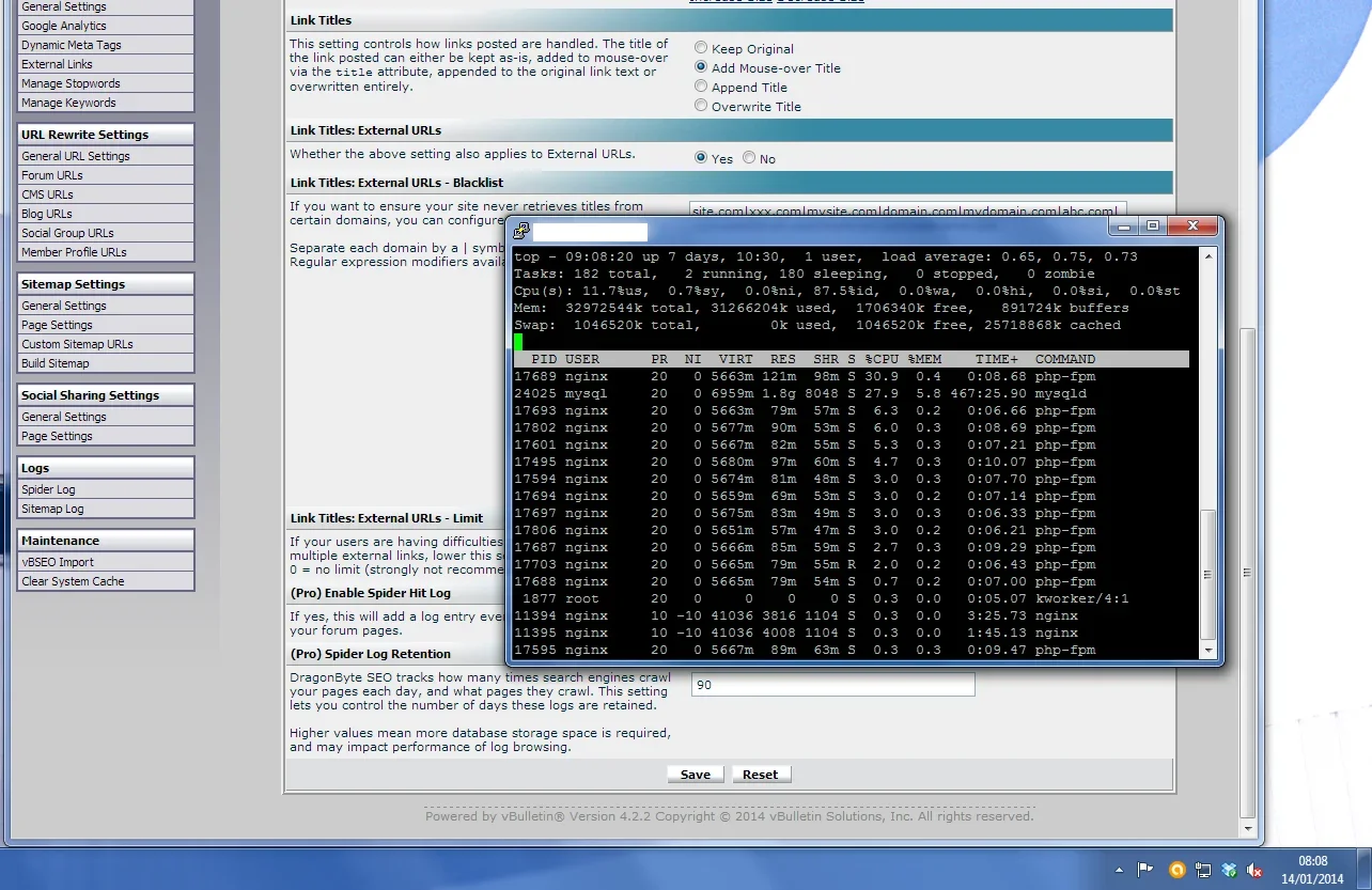 dbseo-possible-bug2.webp dbseo-possible-bug2.webp