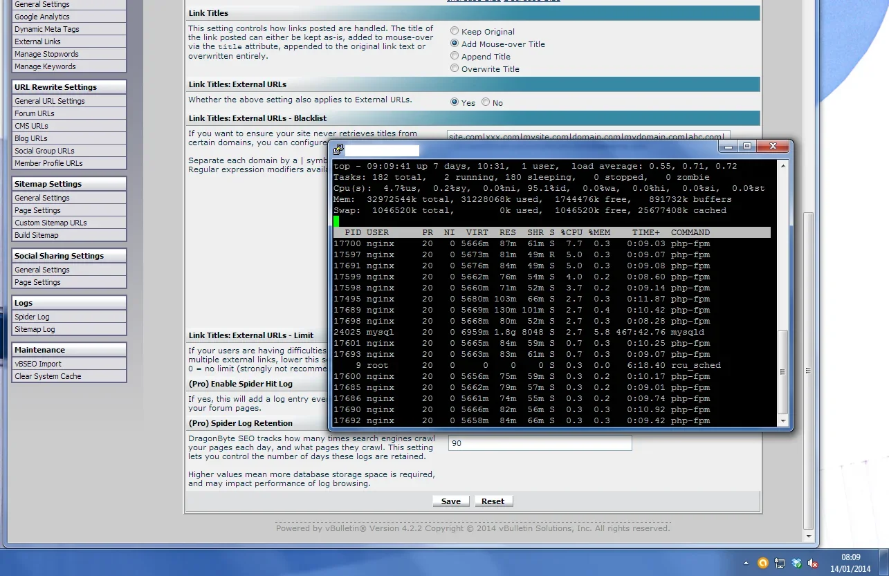 dbseo-possible-bug4.webp