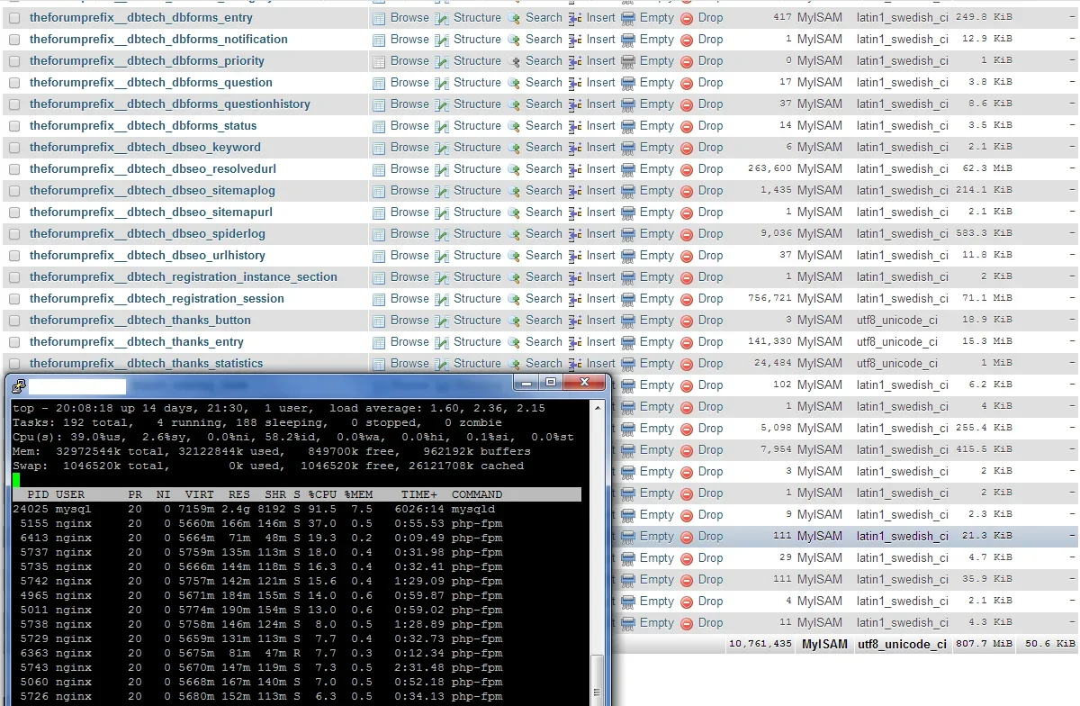 DBSEO-24hour-load-test.webp