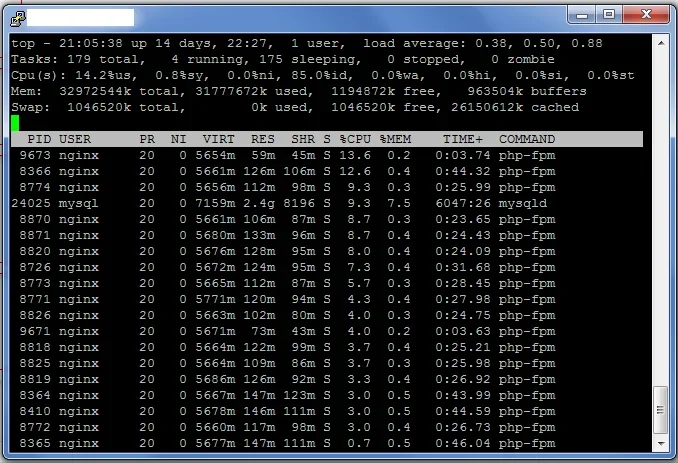 DBSEO-SUCCESSFUL-LOAD.webp