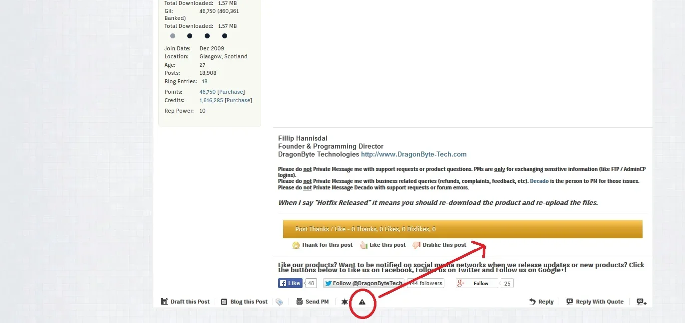 report.webp