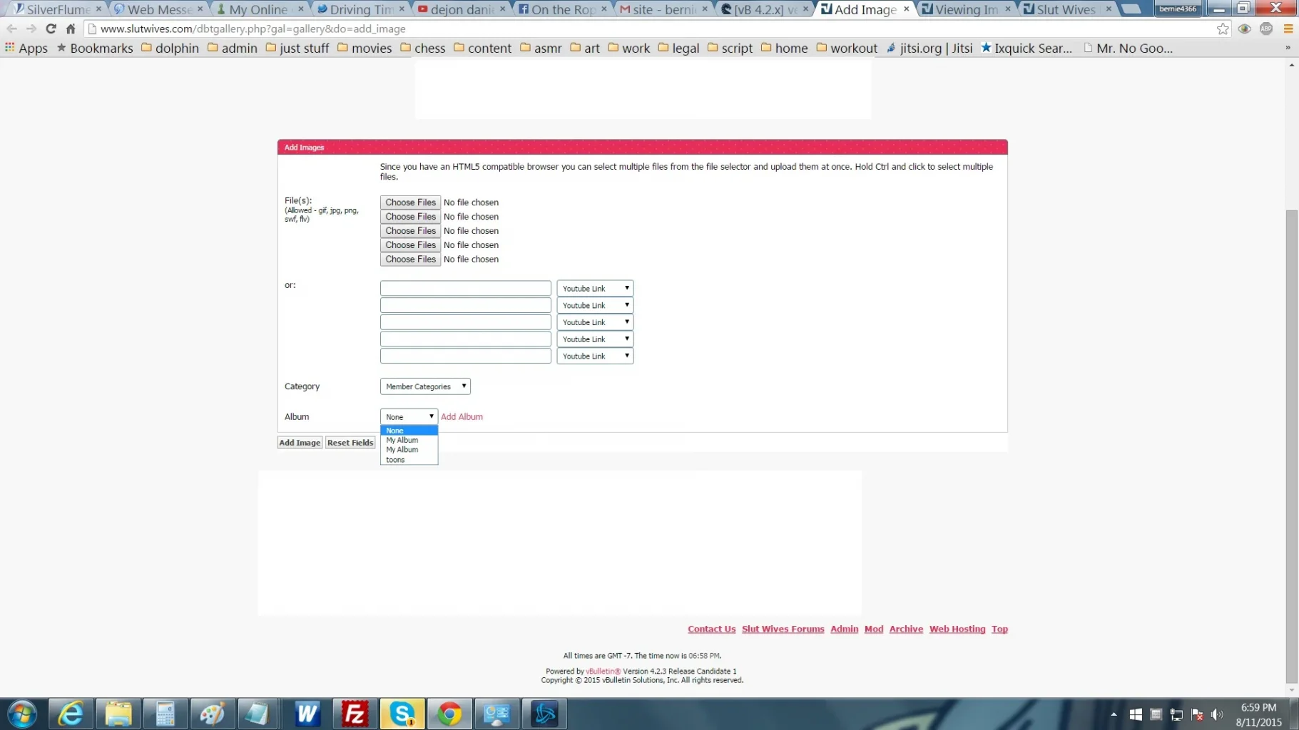 two my album dropdown.webp