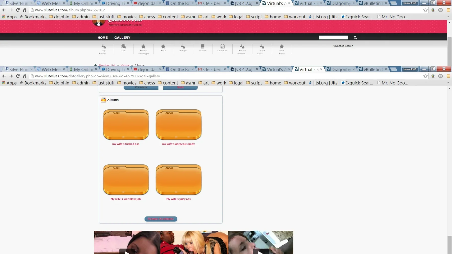 virtual albums dbtech gallery.webp