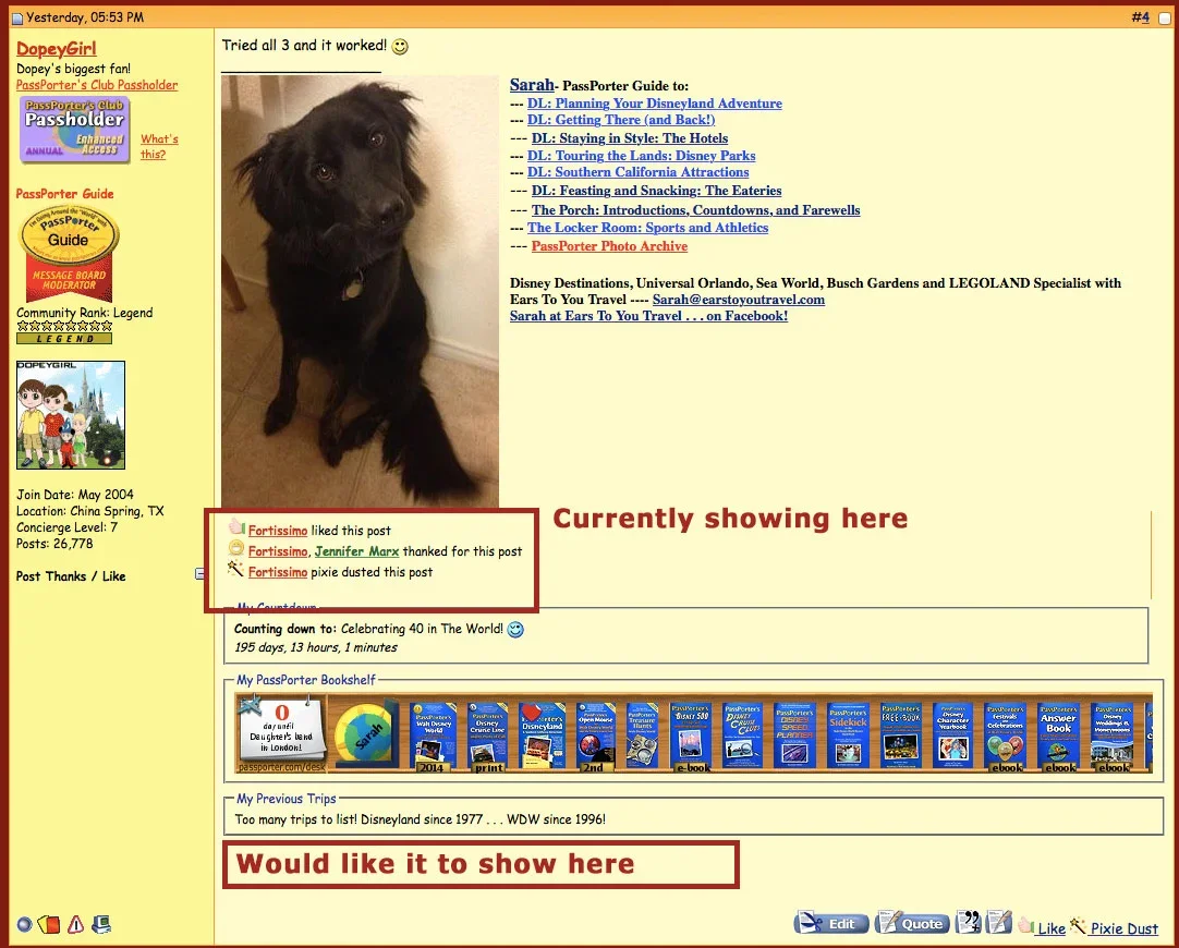 placement1.webp