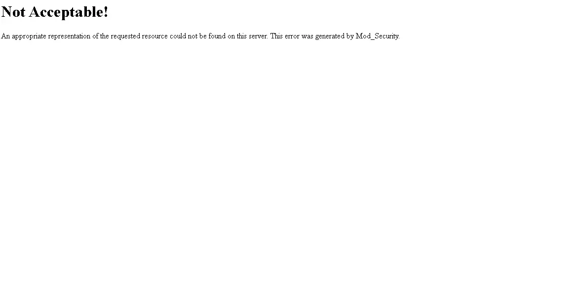 4.webp