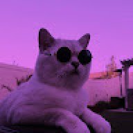 Morti_Freeze