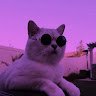 Morti_Freeze